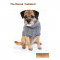 CC-Rascal-Grey-03